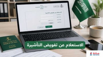 منصة التأشيرات الإلكترونية | الاستعلام عن تفويض تأشيرة