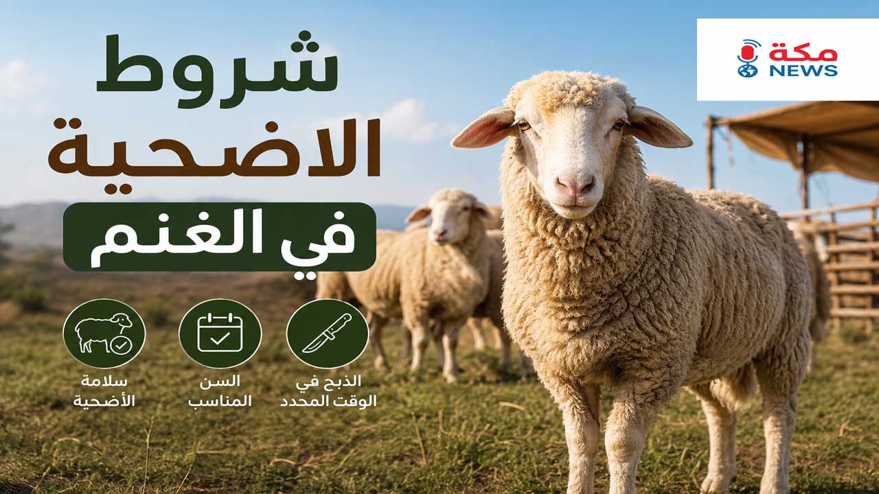 شروط الأضحية في الغنم بالتفصيل وفق الشريعة الإسلامية