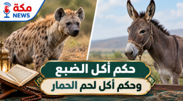 حكم أكل الضبع وحكم أكل لحم الحمار | التفصيل والرد الشرعي الكامل