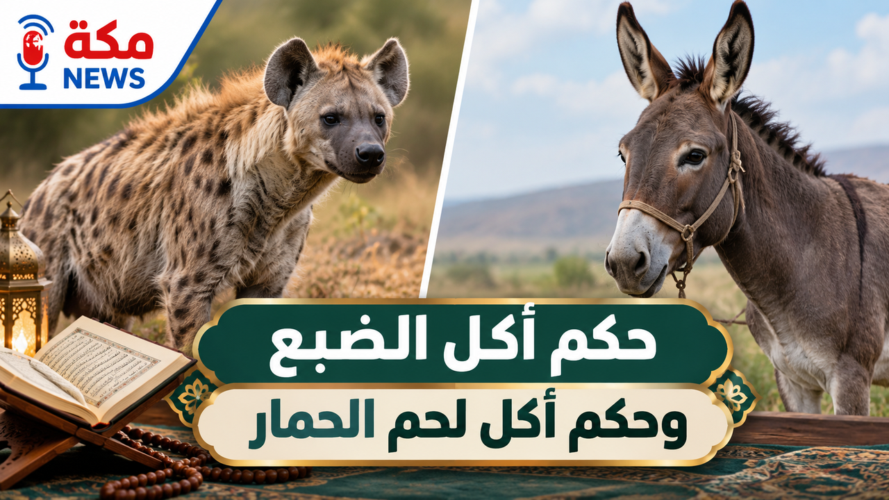 حكم أكل الضبع وحكم أكل لحم الحمار | التفصيل والرد الشرعي الكامل